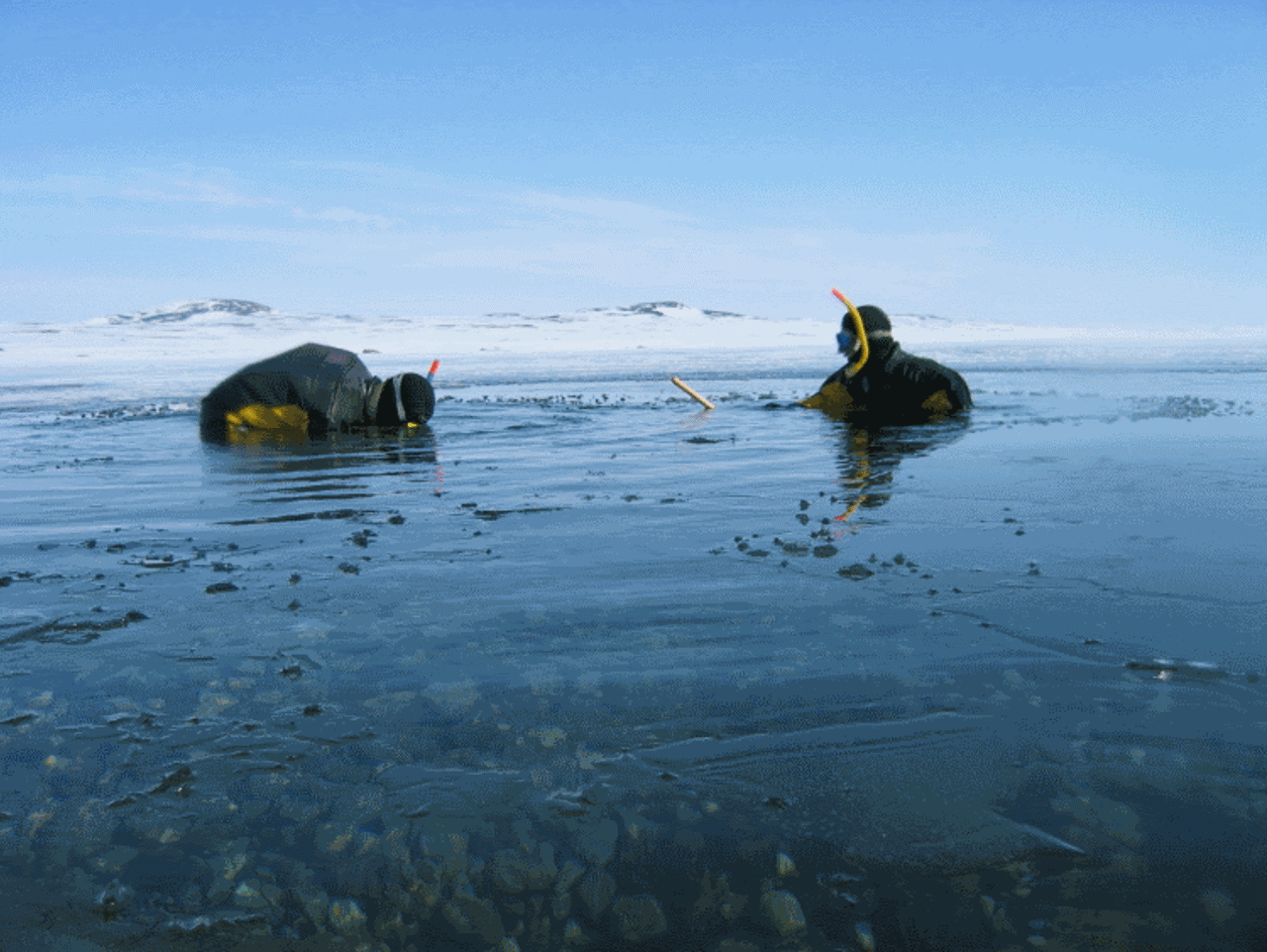 Scubadivers in mountain lake